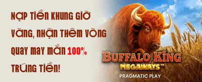 Nạp Lại Hàng Ngày - Thưởng Thêm 20% promotion banner